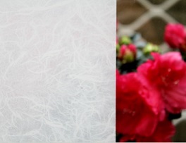 Film Diseño Papel de Arroz 2