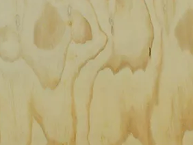 
 Madera Terciada en Planchas de 1,2 x 2,4 mt